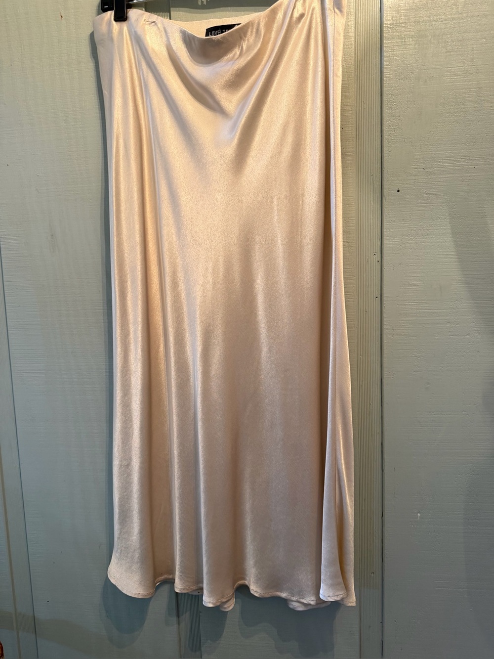 LOVE TOKEN Rosabel Champagne  Skirt